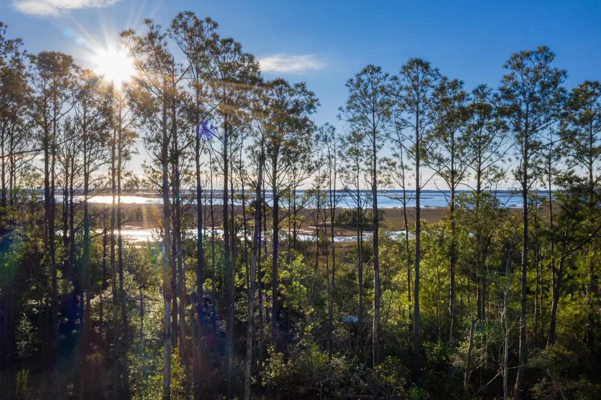 2296 Minifarm Way #525, Mount Pleasant, SC 29466 - Image #1