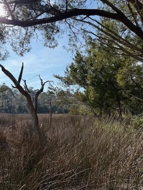 45 S Huspah Court, Seabrook, SC 29940 - Image #2