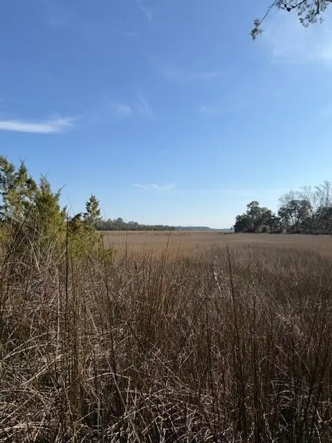 45 S Huspah Court, Seabrook, SC 29940 - Image #3