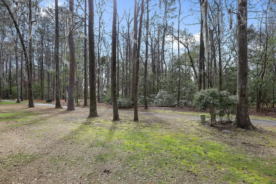 245 Bull Point Drive, Seabrook, SC 29940 - #3