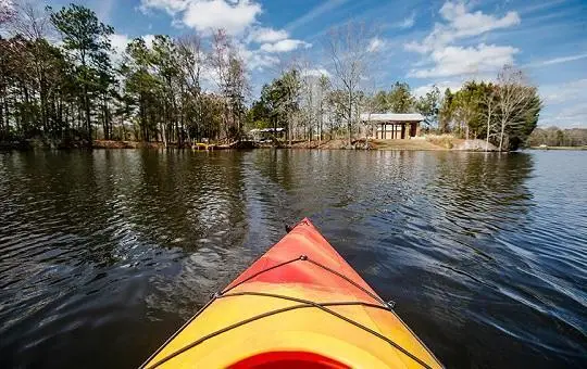 246 Maritime Way, Summerville, SC 29485 - Image #2