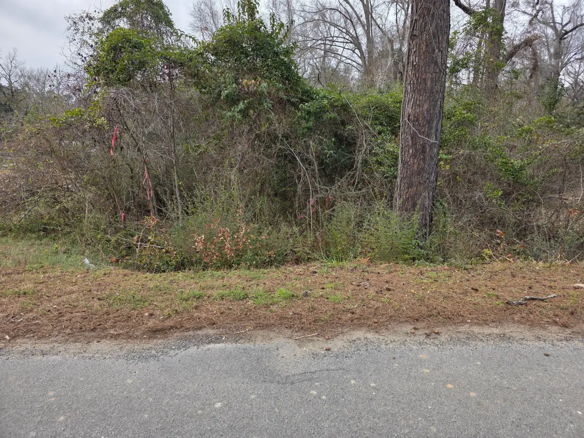 0 Mitten Road, Moncks Corner, SC 29461 - Image #1