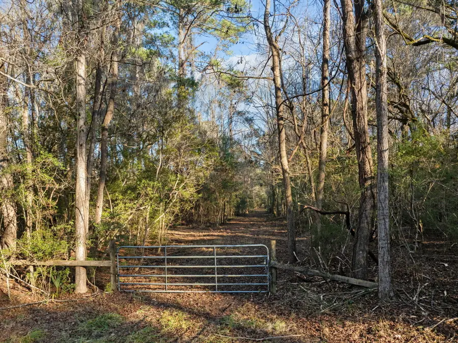 03 Summit Plantation Road, Meggett, SC 29449 - #2
