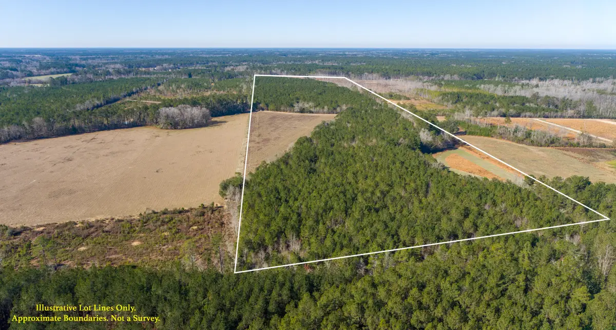 0 Hiotts Pond, Walterboro, SC 29488 - #1