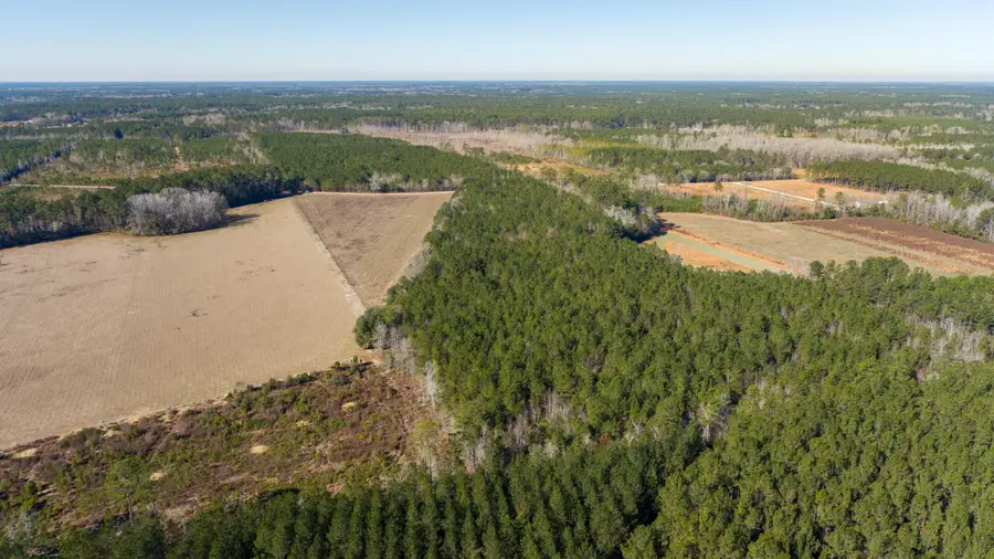 0 Hiotts Pond, Walterboro, SC 29488 - #3