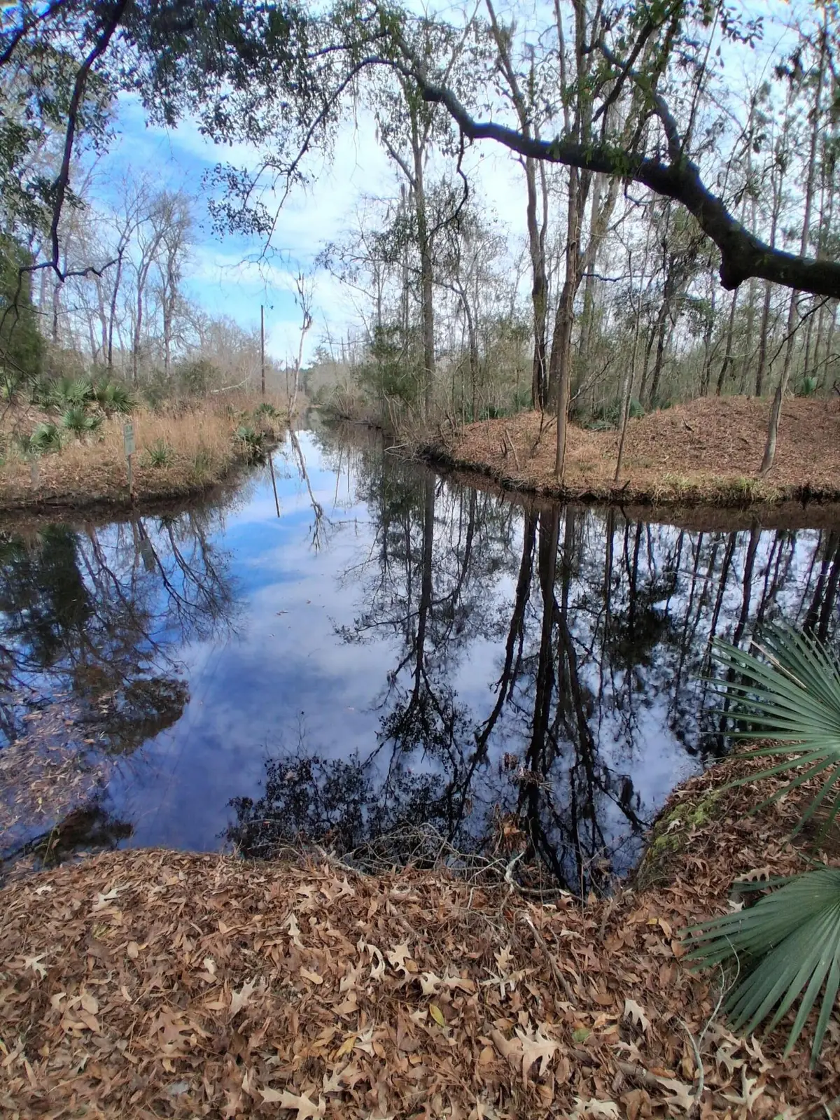 0 Crumley Road #Lot 47 And 47a, Walterboro, SC 29488 - #1