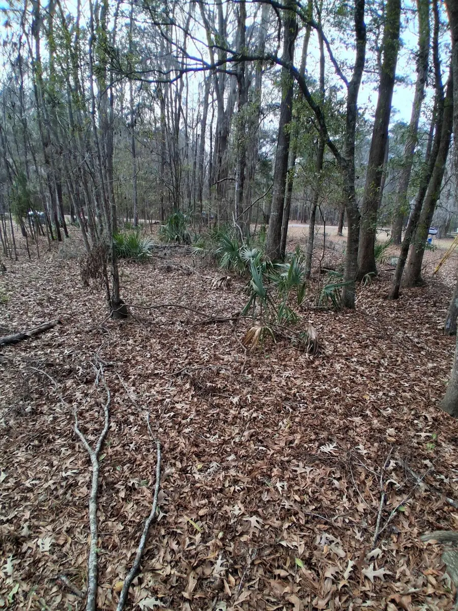 0 Crumley Road #Lot 47 And 47a, Walterboro, SC 29488 - #3