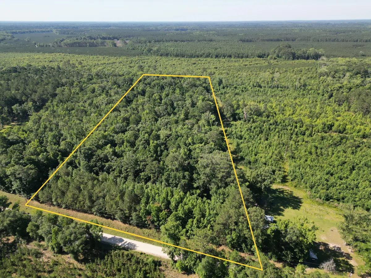 00 Hyde Park Road, Adams Run, SC 29426 - #1