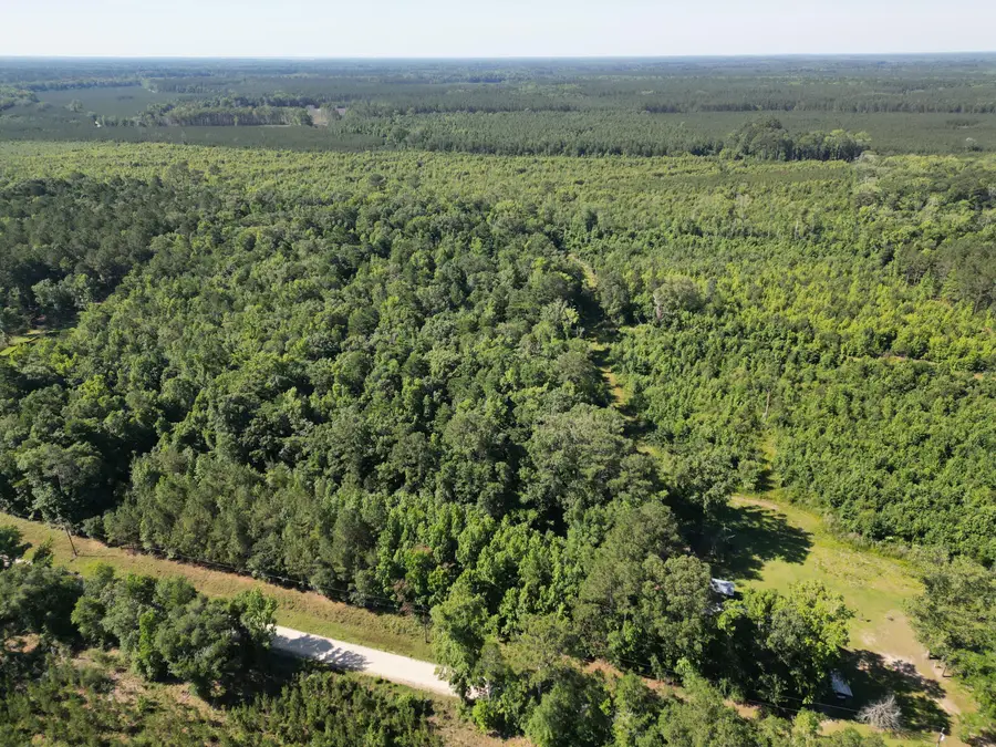 00 Hyde Park Road, Adams Run, SC 29426 - #2