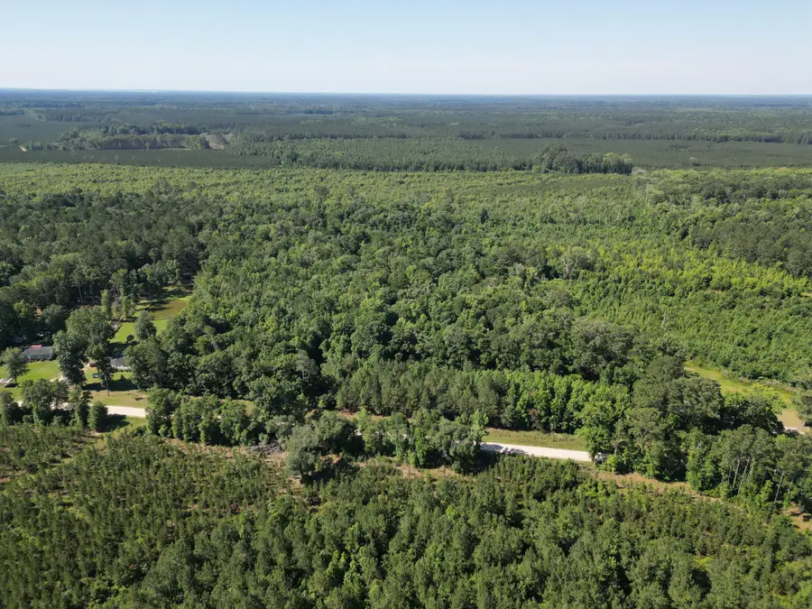 00 Hyde Park Road, Adams Run, SC 29426 - #3