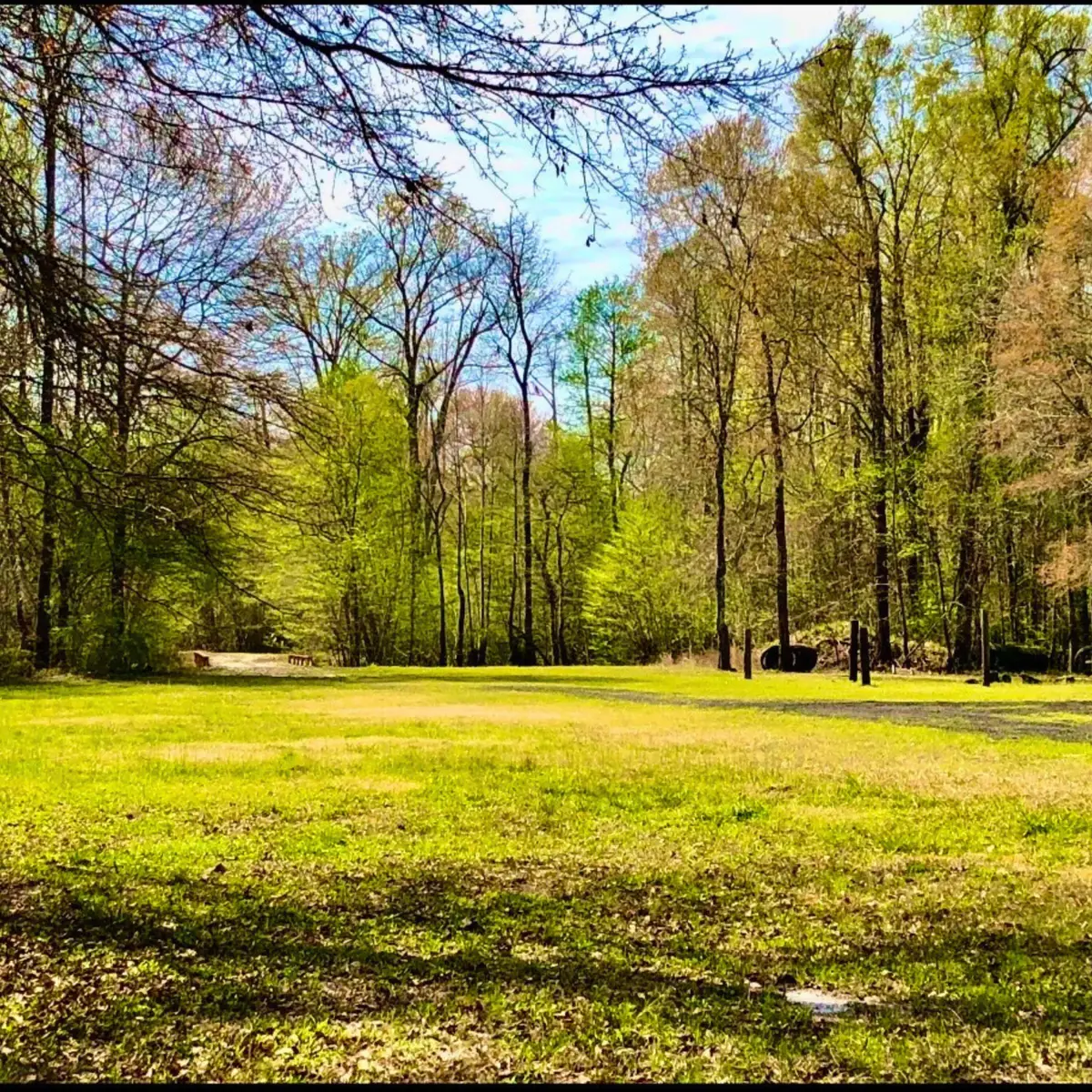 1041 Edisto River Road Road, Reevesville, SC 29471 - #1
