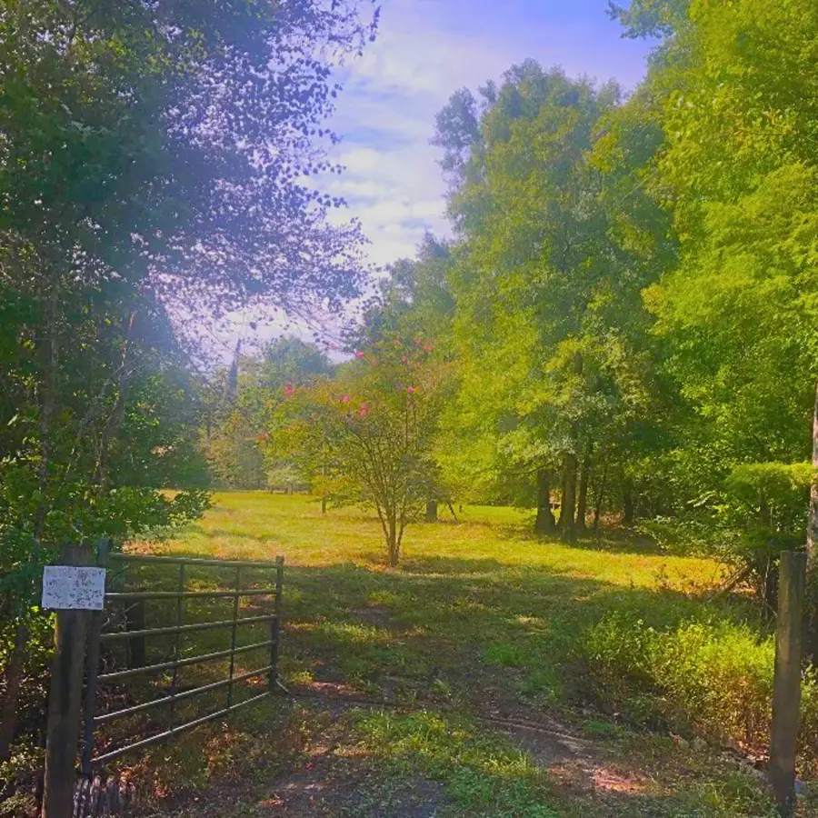 1041 Edisto River Road Road, Reevesville, SC 29471 - #3