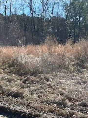 1064 Van Dyke Road, Cottageville, SC 29435