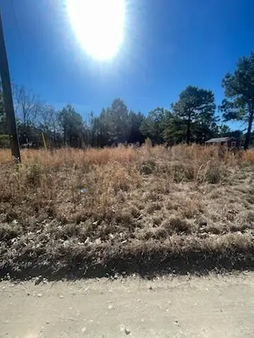 1064 Van Dyke Road, Cottageville, SC 29435 - #3