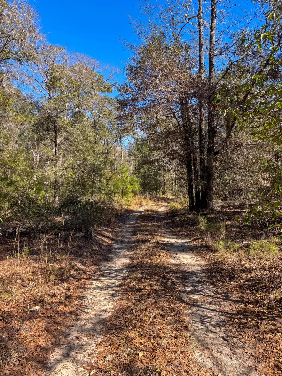 903 Harts Bluff Road, Wadmalaw Island, SC 29487 - #2