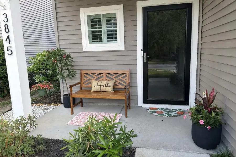 3845 Tupelo Branch Row, Mount Pleasant, SC 29429 - #2