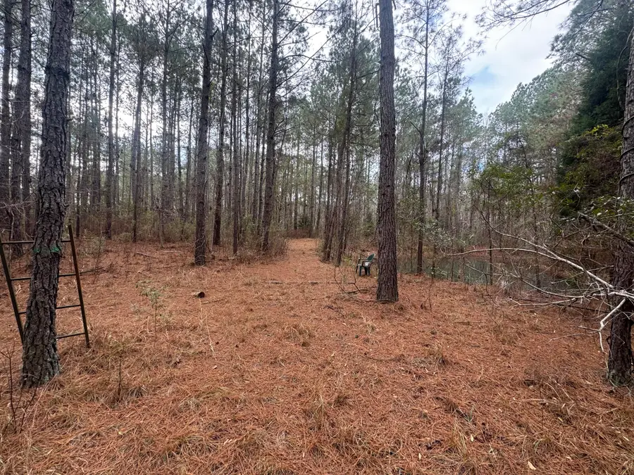 0 Deerhaven Court, Huger, SC 29450 - #2