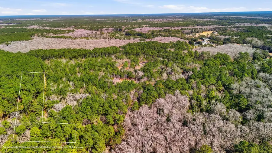 00 Gertie Lane, Cordesville, SC 29434 - #3