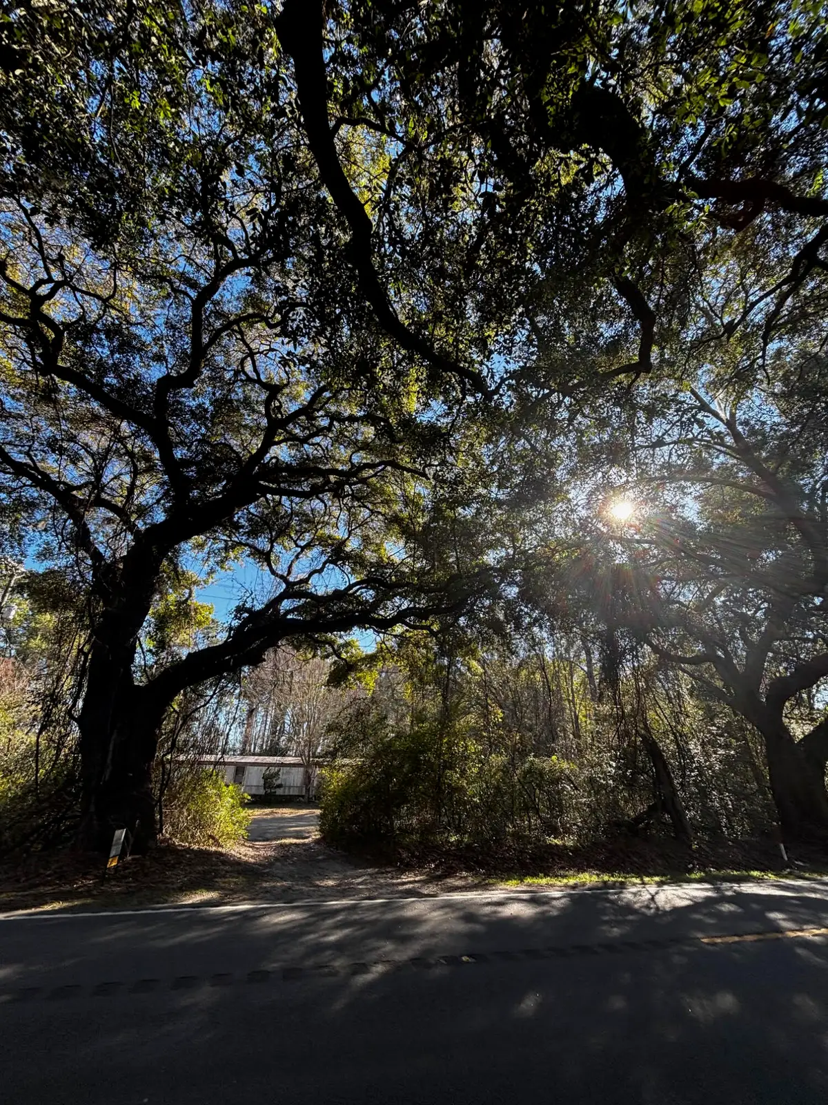 3969 River Road, Johns Island, SC 29455 - #1