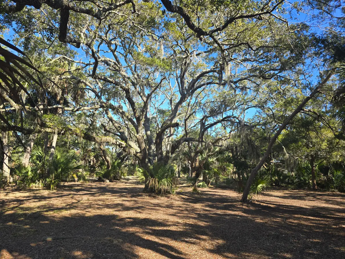 58 Painted Bunting Trail, Edisto Island, SC 29438 - #1