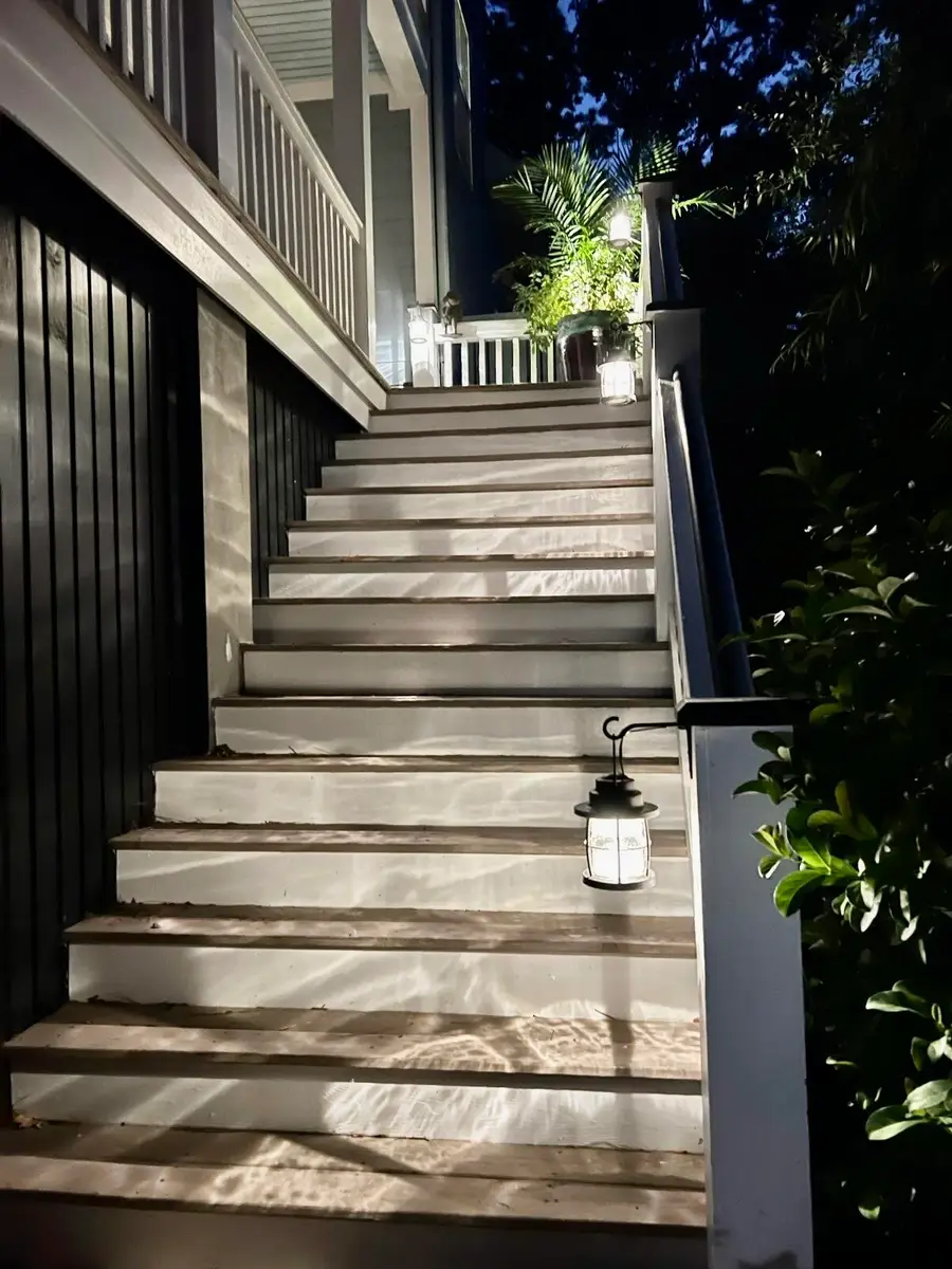 542 Amalie Farms Drive, Charleston, SC 29492 - #3