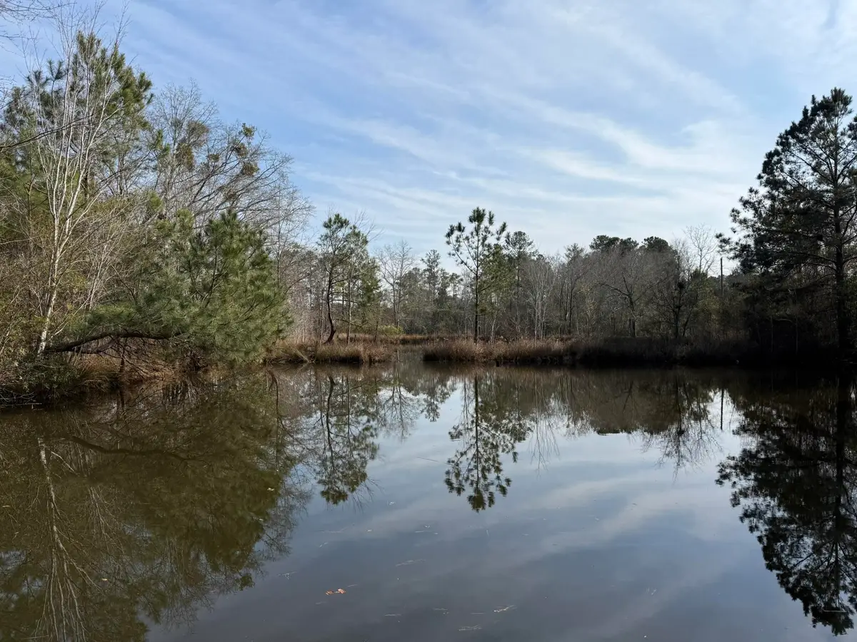 5191 Savannah Highway, North, SC 29112 - #1