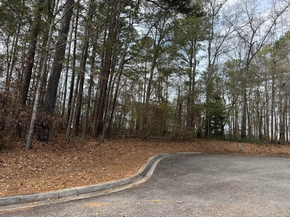 012 Aster Court, Orangeburg, SC 29115 - #1