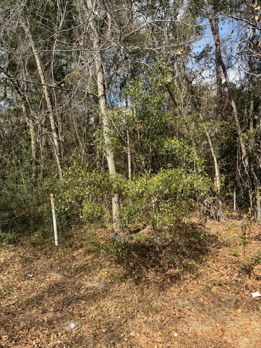 0 Robertson Boulevard, Walterboro, SC 29488 - #2