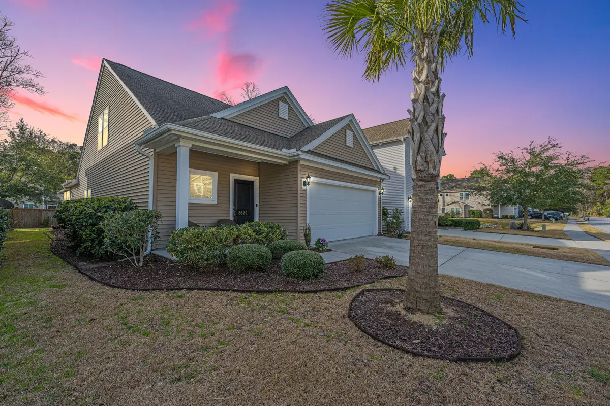 3825 Tupelo Branch Row, Mount Pleasant, SC 29429 - #1