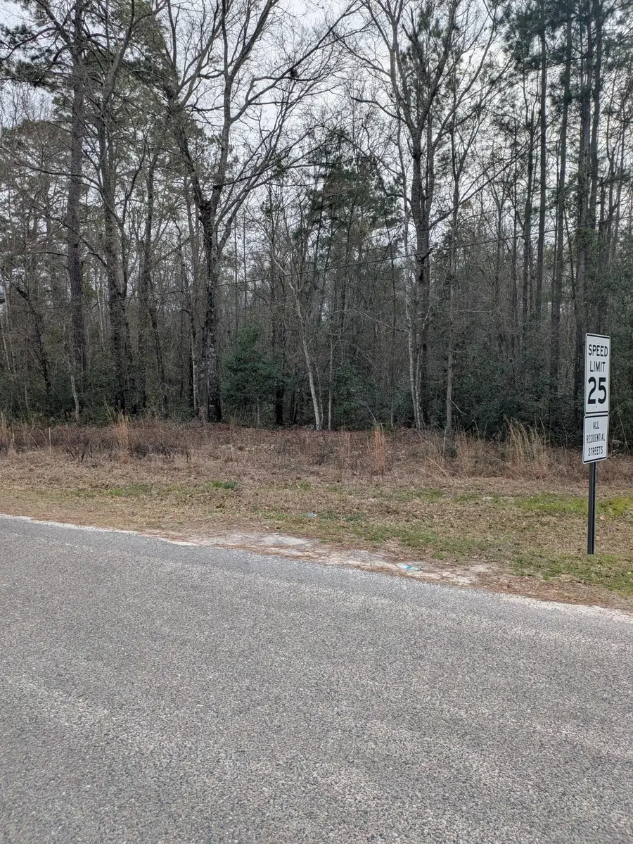 0 N Jefferies Boulevard, Walterboro, SC 29488 - #3