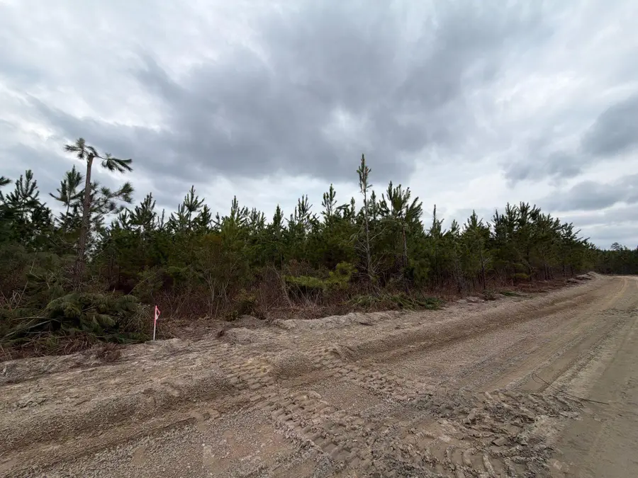 Bff Ii 5 Brunson Teal Rd Road, Patrick, SC 29584 - #2