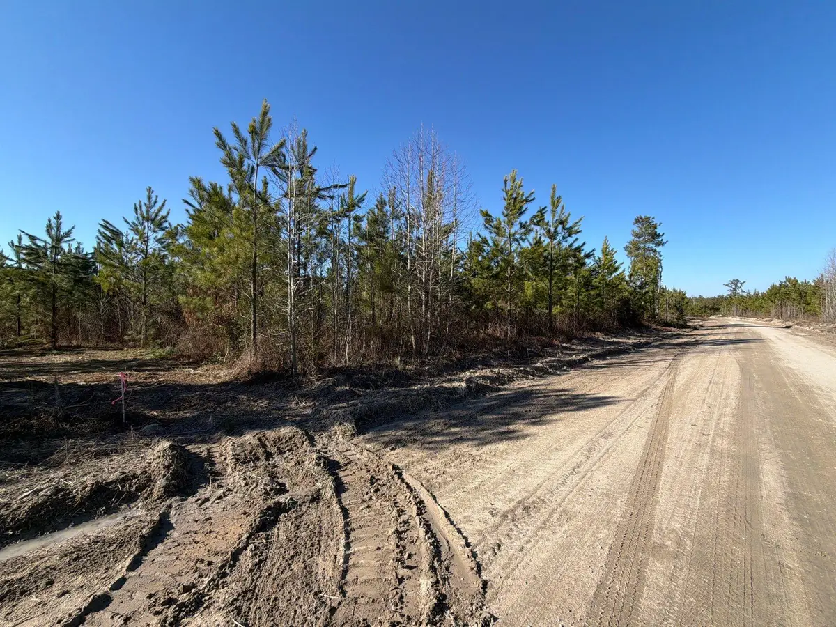 Bff Ii 6 Brunson Teal Rd Road, Patrick, SC 29584 - #1