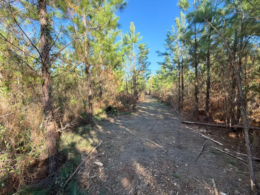 Bff Ii 6 Brunson Teal Rd Road, Patrick, SC 29584 - #2