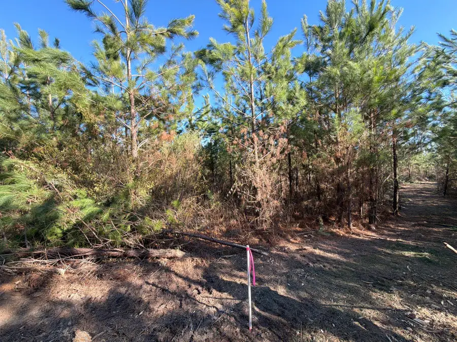 Bff Ii 6 Brunson Teal Rd Road, Patrick, SC 29584 - #3