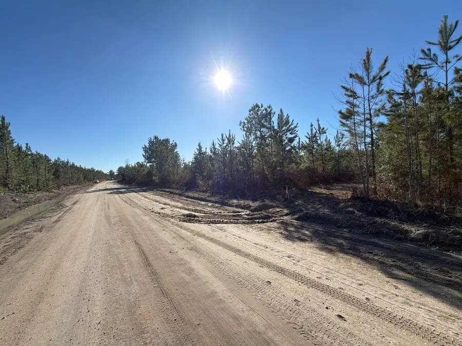 Bff Ii 7 Brunson Teal Rd Road, Patrick, SC 29584 - #2