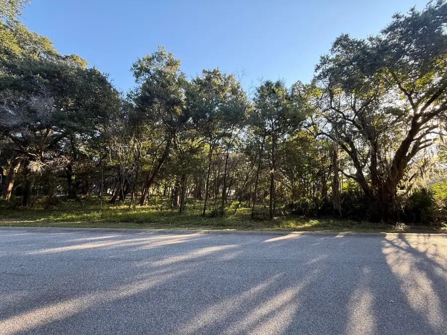 404 Tanner Trail, Charleston, SC 29412 - #3