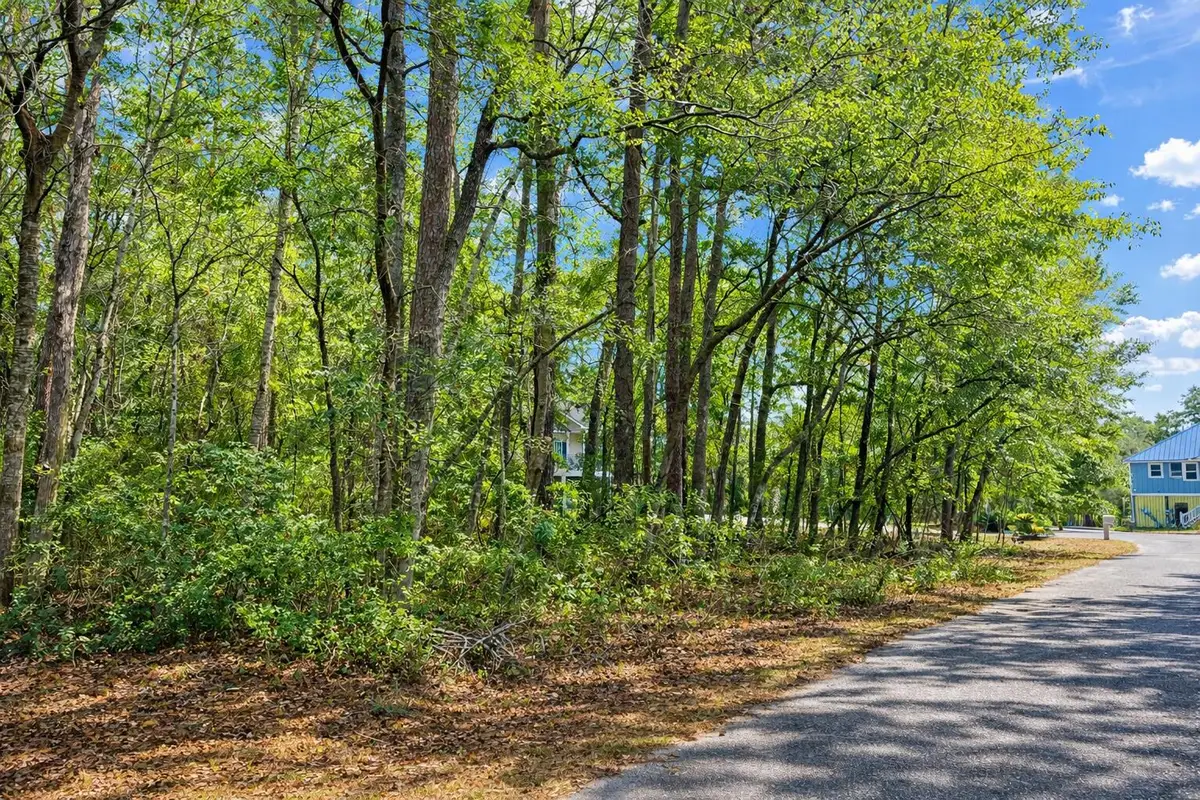 890 Flowers Lane, Edisto Island, SC 29438 - #1