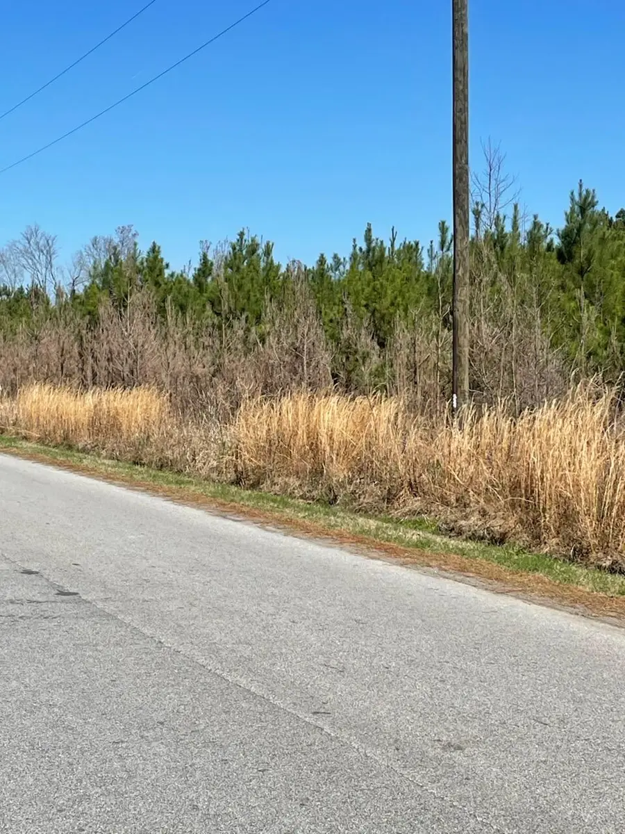 0 Herndon Street, Walterboro, SC 29488 - #2