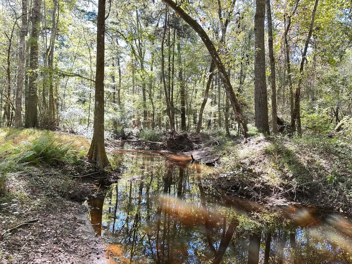 0 Big Bird Lane, Summerville, SC 29483 - #1