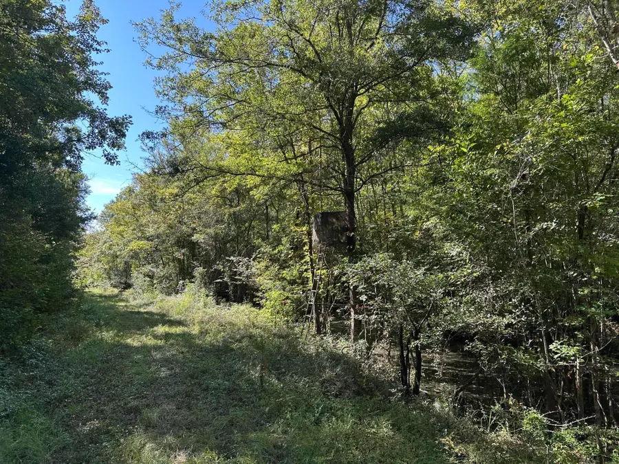 0 Big Bird Lane, Summerville, SC 29483 - #3