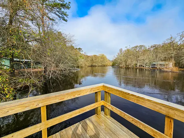 78 Badger Lane, Round O, SC 29474