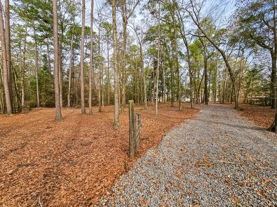 78 Badger Lane, Round O, SC 29474 - #2