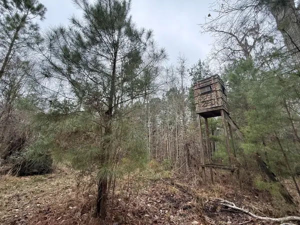 9750 Cottageville Highway, Cottageville, SC 29435