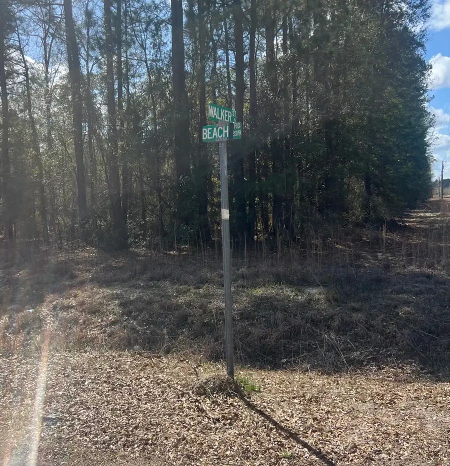 2009 Beach Road, Walterboro, SC 29488 - #3