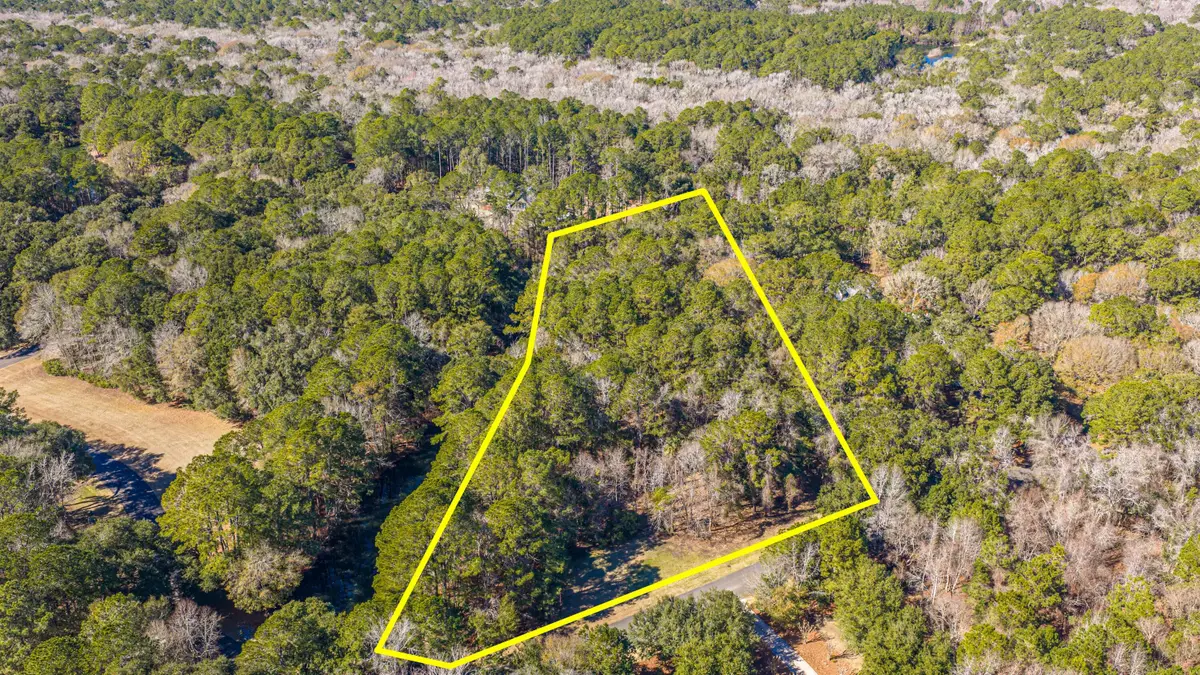 4066 Gnarled Oaks Lane, Johns Island, SC 29455 - #1