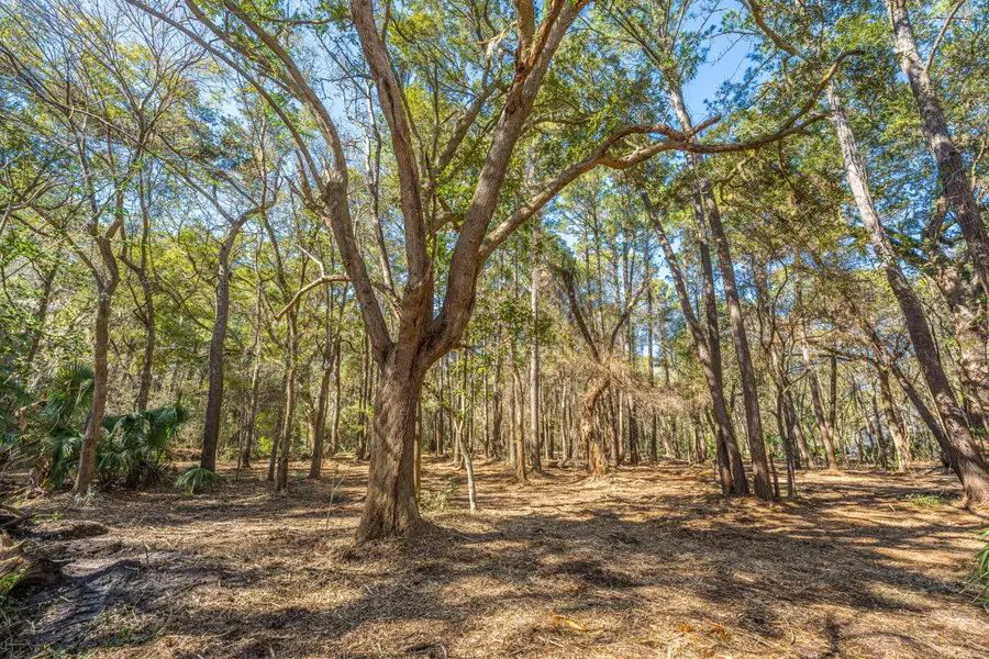 4066 Gnarled Oaks Lane, Johns Island, SC 29455 - #3