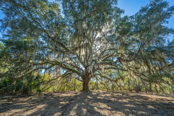 4129 Gnarled Oaks Lane, Johns Island, SC 29455
