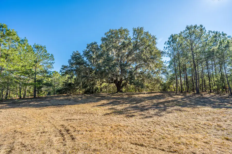 4129 Gnarled Oaks Lane, Johns Island, SC 29455 - #2