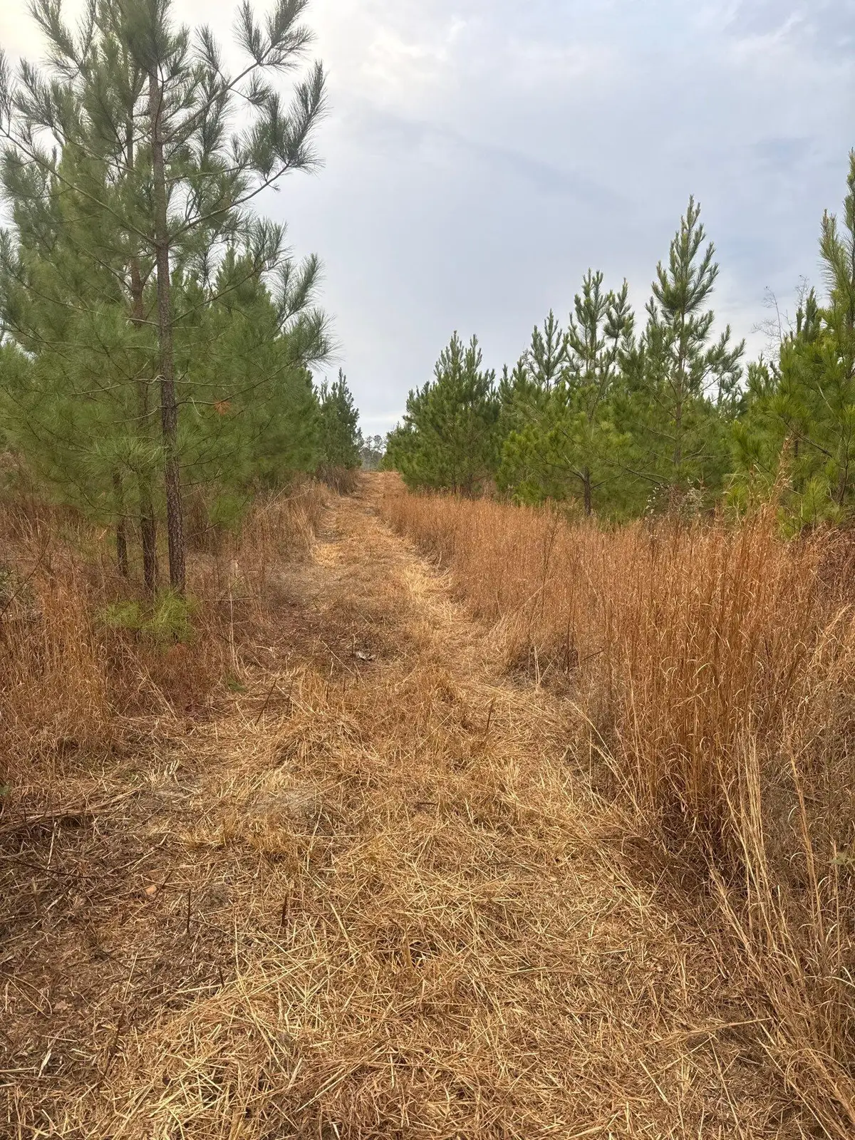 Qbf 12 Nurnberg Dr Road #Qbf 12, Leesville, SC 29070 - #1