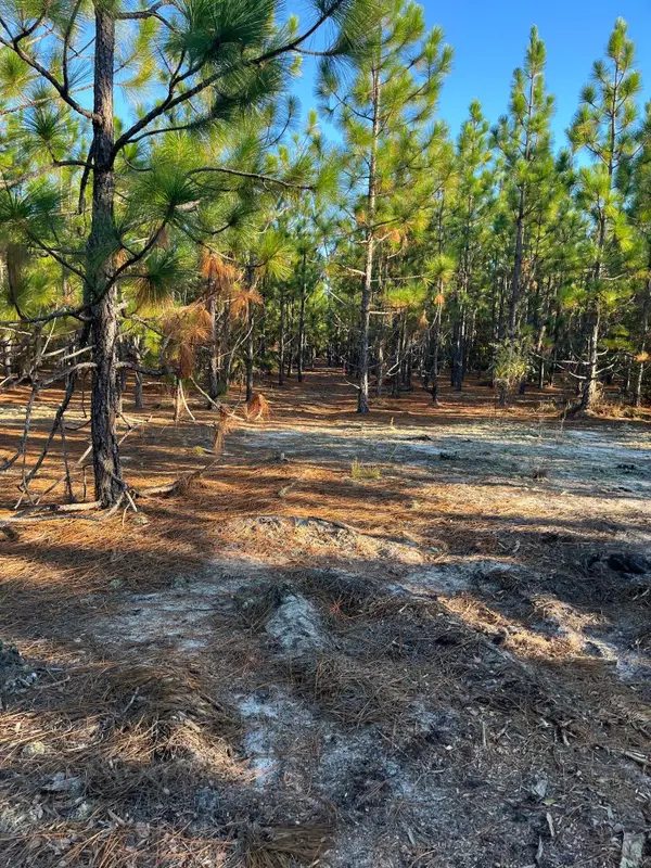 Ppf 17 Payne Pond Road #Ppf 17, Westville, SC 29175